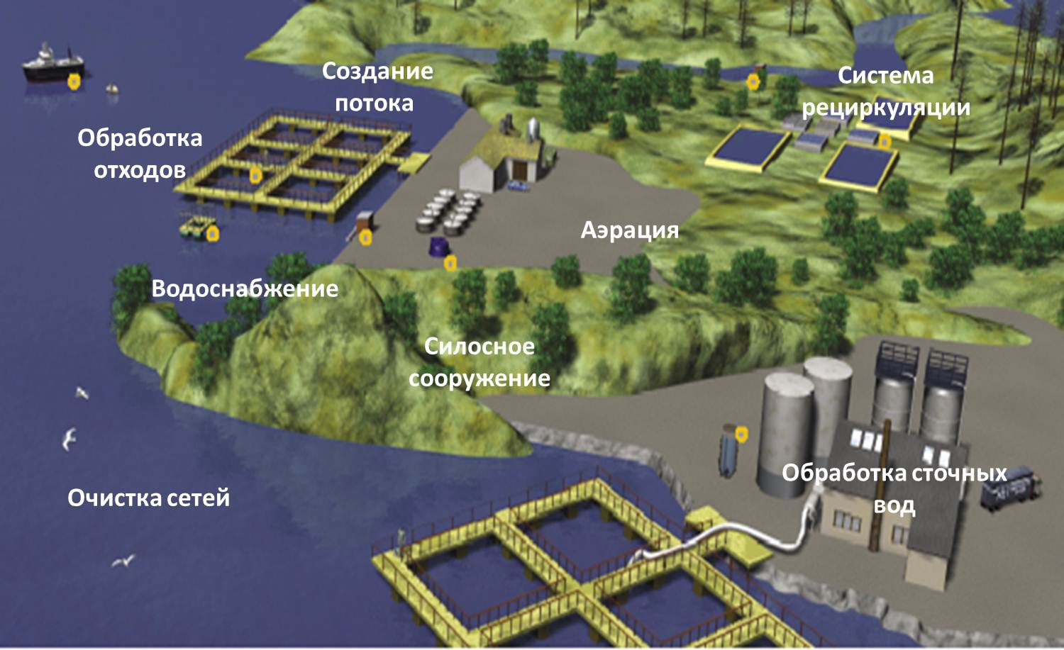 aquaculture_illustration